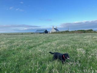 3 Bed in Tudweiliog oc-mynach - Twdweiliog - 3