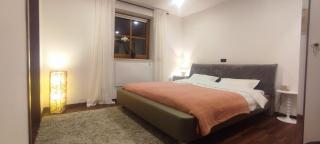 Two bedroom Apartment in Sankt Englmar, Bavaria - 3