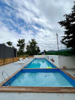 Bazaleti Lake Cottage - 3