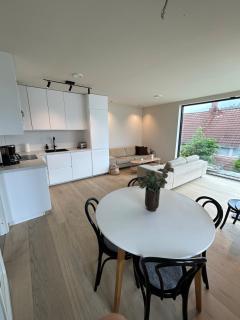 Sentral leilighet - 1