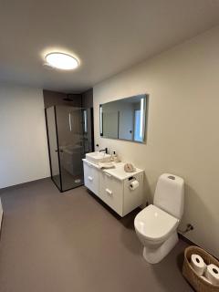 Sentral leilighet - 4