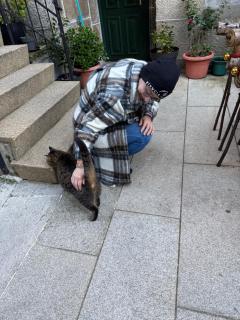 Ático Pequeño Paraíso Combarro - 8