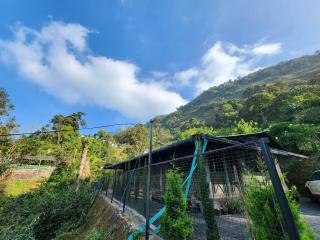 Talia Farm house - 7