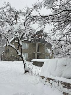 Guest House Tobuldar - 9