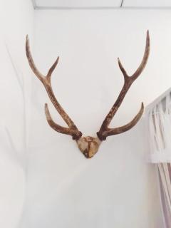 Mountain Bliss Villa - 4