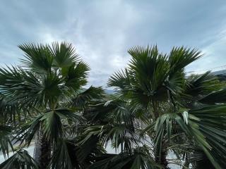 Citygate condo at Kamala Beach - 3