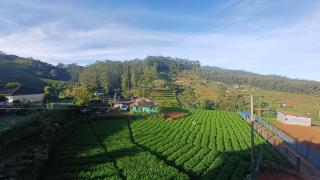 The Mountray View Hotel - 5