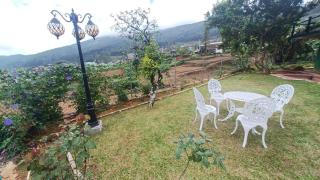 The Mountray View Hotel - 1