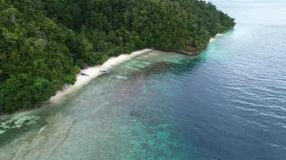 Batanta Paradise Homestay - 5