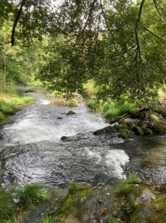 Refúgio do Ribeirinho - 2