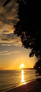 Batanta Paradise Homestay - 8