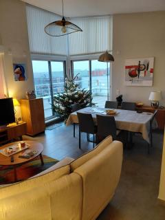 Spacious 3-room penthouse apartment - 6