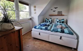 UNSERE PERLE MIT SAUNA in Zingst - Hund willkommen - Zingst - 3