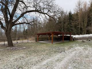 Chalupa u lesa v Železných horách - 5