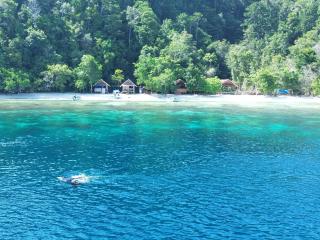 Batanta Paradise Homestay - 9