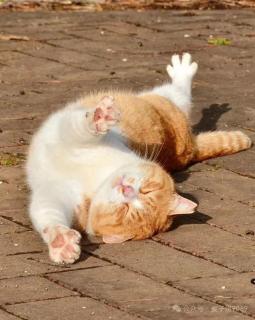 Anran Xinyue Inn, Dali Old Town - 7