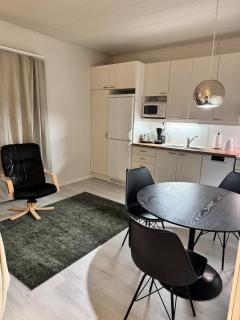 Villa Lilla, yksiö omakotitalosta - 9