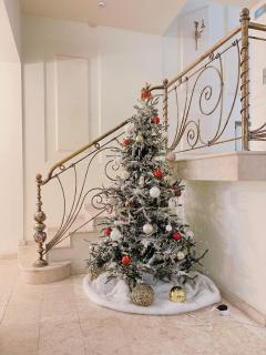 Continental Hotel - Odessa - 2