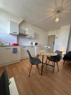 Spacieux studio rénové en centre ville - Apt7 - 5