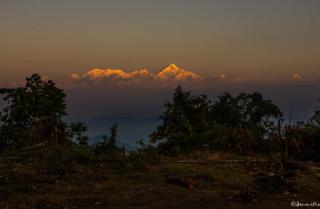 Silverberry Homestay - 8