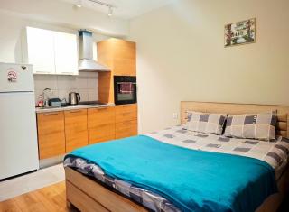 Lovely Studio Apartment in M3 Saburtalo-District. - 9