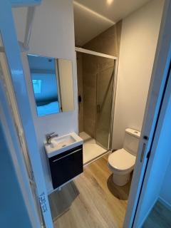 Maison de standing au centre de Reims 7 chambres avec 7 salles de bain, sauna, cour privée - 3