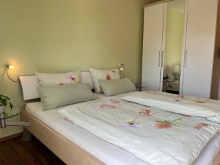 Haflinger Hof Detig - 5