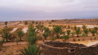 Dar Oasis Moringa - 9