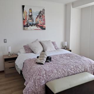 Departamento Los Carrera Centro - 9