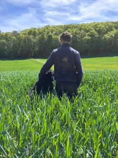 Haflinger Hof Detig - 7