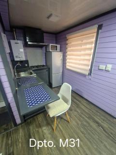 Wildepartamentos Valdivia Studio TM - 9