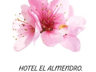 Hotel El Almendro - 9