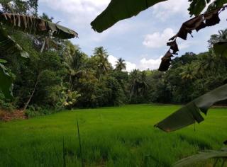 Bakery Family Guest House - 7