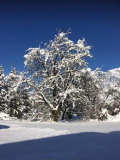 Ferienwohnung Fisch - 4
