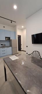 Двухкомнатная квартира бизнес класса Мередиан - 9