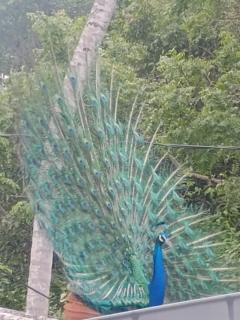 Bakery Family Guest House - 5