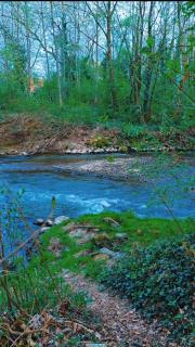 Ferienwohnung TALISA - 6