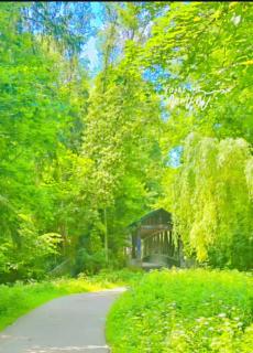 Ferienwohnung TALISA - 4