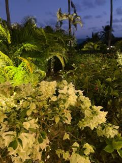 Résidence Cocody - 5