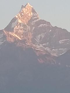 Hotel Peace Karma View & Restaurant - 2