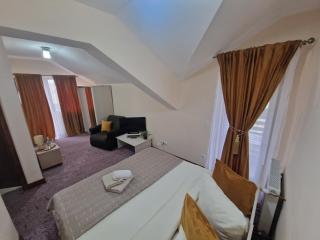 Pensiunea Conacul lui Horia - 9