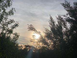 La Caseta del tío Antonio - 8