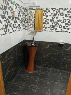 River Reflection Home Stay at Tirthan Valley - 1