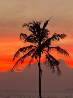 Imaa freedom house - 8