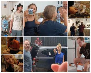 ELTARI Pine House - 8