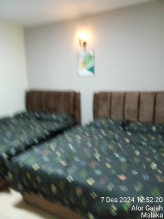 Potuna gafan homes - 3