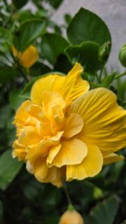 Ti kaz cheu nous - 3