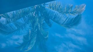 Ti kaz cheu nous - 8