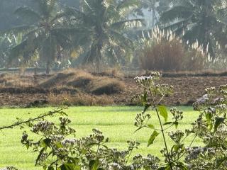 Shankar Homestay - 7