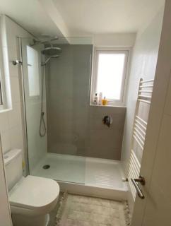 Apartment in Isla Teja, Valdivia - 3